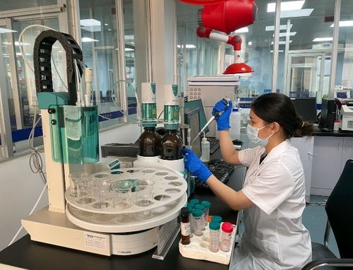 湛江海关技术中心食品实验室获评广东省青年文明号标兵号